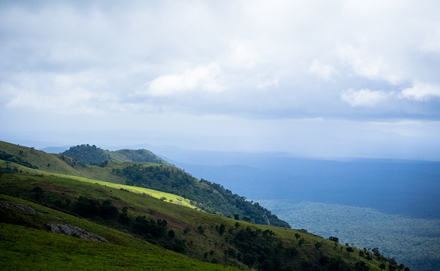 无论从球员 无论从球员