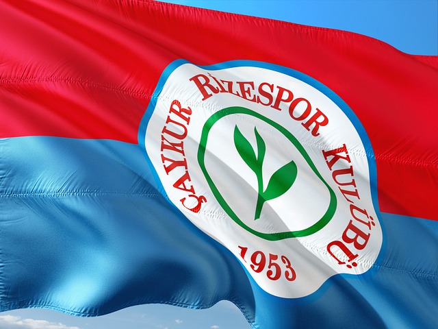 組織和穩定 組織和穩定