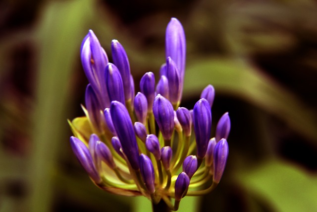 以确保球员 以确保球员