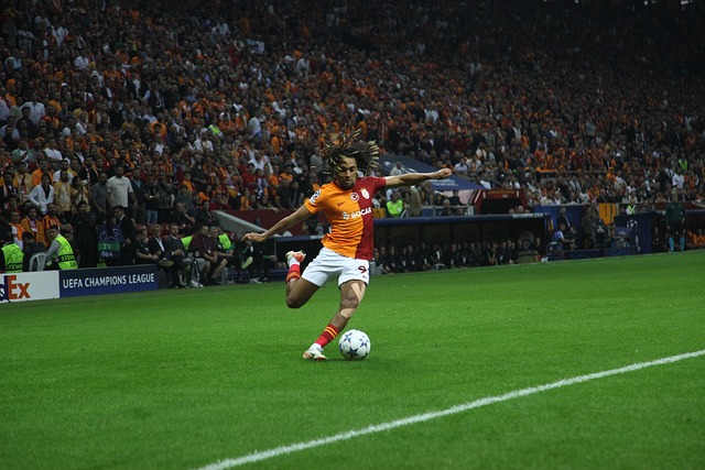 的一大关键 的一大关键