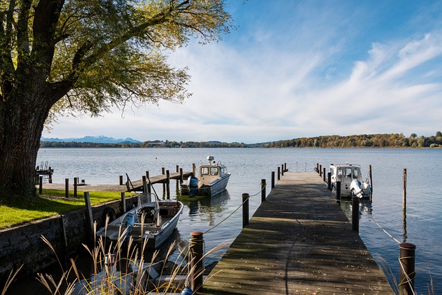 他们成功超 他们成功超