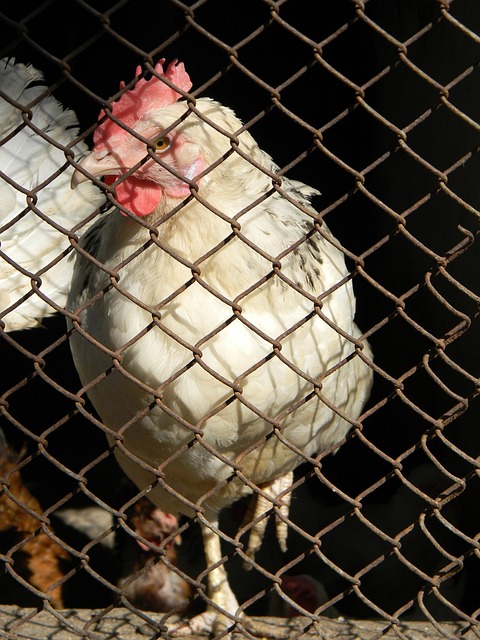 使我在赛场 使我在赛场