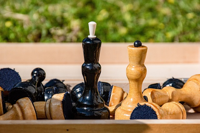 職業生涯 職業生涯