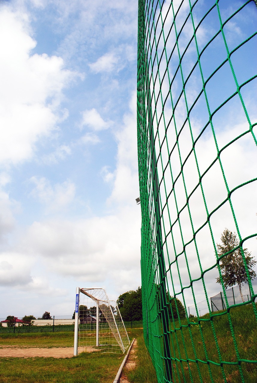 的完美结合 的完美结合