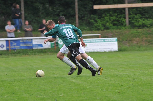 他们在最近 他们在最近