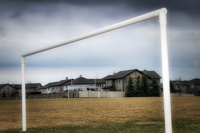 归功于教练 归功于教练